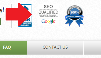 Google SEO Qualified Professional